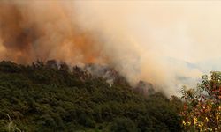Suriye'nin Bayırbucak bölgesinde çıkan orman yangını sürüyor