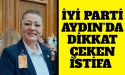İYİ Parti Aydın’da dikkat çeken istifa