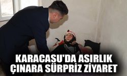 Karacasu'da asırlık çınara sürpriz ziyaret