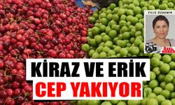 Yaz meyveleri tezgahları renklendirdi