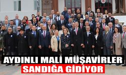 Aydınlı mali müşavirler sandığa gidiyor