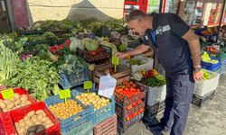 Efeler’de manavlara etiket denetimi
