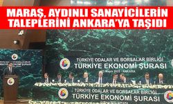 AYSO Başkanı Maraş, Aydınlı sanayicilerin taleplerini Ankara’ya taşıdı