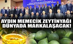 Aydın Memecik Zeytinyağı dünyada markalaşacak!