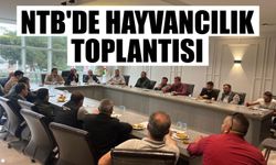 NTB'de hayvancılık toplantısı