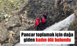 Pancar toplamak için dağa giden kadın ölü bulundu