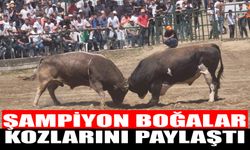 Güreşseverler Atça'da buluştu