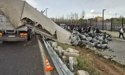 Devrilen tırdaki sebzeler yola savruldu