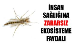 İnsan sağlığına zararsız ekosisteme faydalı