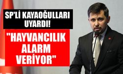 SP'li Kayaoğulları uyardı! "Hayvancılık alarm veriyor"