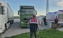 Tır sürücüsü aracında ölü bulundu