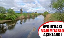 Aydın’ı endişelendiren veri