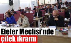 CHP'li Bozkurt jest yaptı