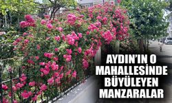 Aydın'ın o mahallesinde büyüleyen manzaralar