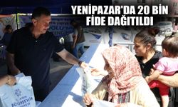 Yenipazar'da 20 bin fide dağıtıldı