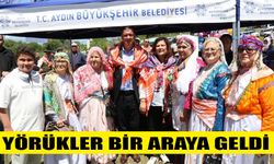 Yenipazar'da renkli şenlik