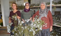 Muğla'da anne ile kızı devlet desteğiyle ipek böceği yetiştiricisi oldu