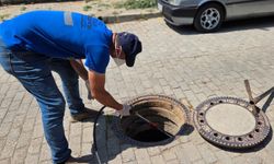 Efeler Belediyesi kent zararlılarına karşı mücadeleyi sürdürüyor