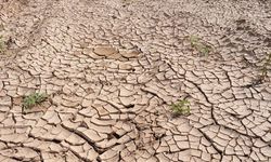 Kuraklık 2050’ye kadar 1 milyar kişiyi yerinden edebilir