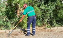 Efeler’de çevreye tam mesai: Yeşil ekipler sahada