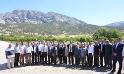 Denizli'de zirai dondan etkilenen bahçelerde inceleme