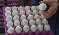 Yumurtayı sakın böyle yemeyin: Uzmanlar uyardı
