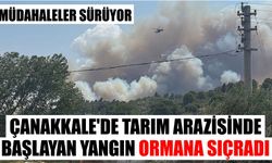 Çanakkale’de tarım arazisinde başlayan yangın ormana sıçradı