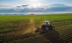 Aydın Karacasu’da 4 dönüm tarla satışa sunuldu