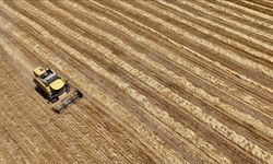 Geçen yıl 105 tarımsal kuruluş “birinci derece örgüt belgesi” aldı