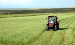 Aydın’da dikkat çeken satış: Yaklaşık 200 metrekare arsa mahkeme yoluyla alıcı arıyor