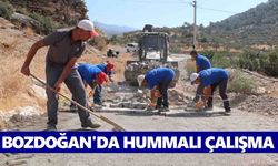 Bozdoğan'da hummalı çalışma