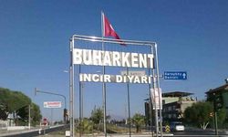 Aydın – Buharkent Arası Kaç Km? Minibüs Ücretleri, Tren Seferleri ve Gezilecek Yerler