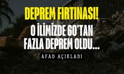 Türkiye'de deprem fırtınası sürüyor! O ilimizde bir günde 60'tan fazla deprem yaşandı