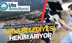 KPSS 60 Puanı Olan Veterinerler Dikkat: Ula Belediyesi Hekim Arıyor