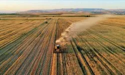 Aydın Efeler’de 36 bin m² tarım arazisi mahkemeden satışa çıktı