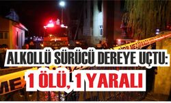 Alkollü sürücü dereye uçtu: 1 ölü, 1 yaralı