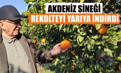 Atçalı portakal üreticisi zorda
