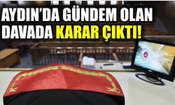 Aydın'da eniştesinin ölümüne neden olan sanığa ağır ceza