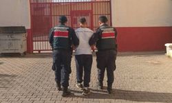 Aydın’da jandarmanın başarılı operasyon