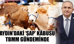 Aydın’daki ‘şap’ kâbusu TBMM gündeminde