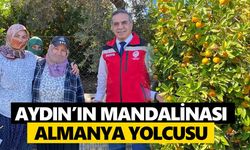 Aydın’ın mandalinası Almanya yolcusu