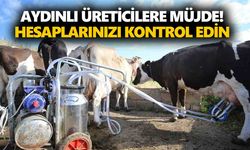 Aydınlı üreticilere müjde! Hesaplarınızı kontrol edin