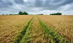 Aydınlılar Dikkat! İmarlı Arsa Mahkemeden Bu Rakama Satılacak