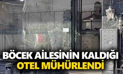 Böcek ailesinin kaldığı otel mühürlendi