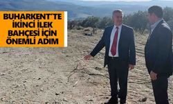 Buharkent'te ilek projesi sürüyor