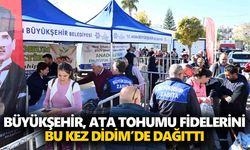 Büyükşehir, Ata tohumu fidelerini bu kez Didim’de dağıttı