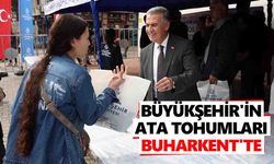 Büyükşehir'in ata tohumları Buharkent'te