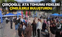 Çerçioğlu, Ata tohumu fidelerini Çinelilerle buluşturdu