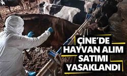 Çine’de hayvan alım satımı yasaklandı