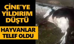 Çine'ye yıldırım düştü